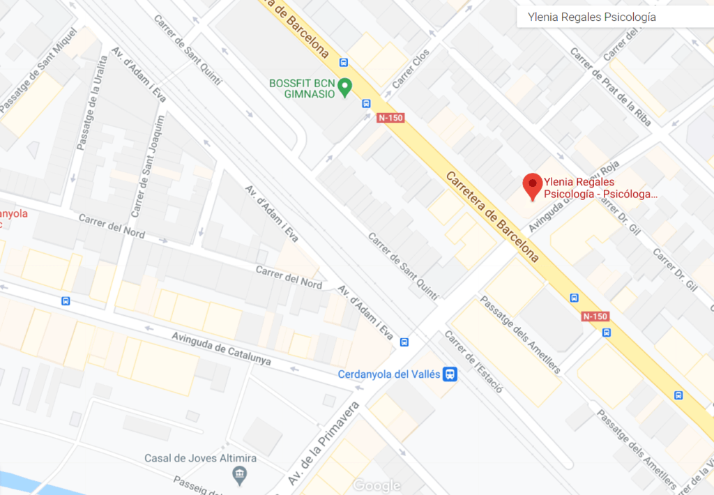 Dirección Ylenia Regales Psicología